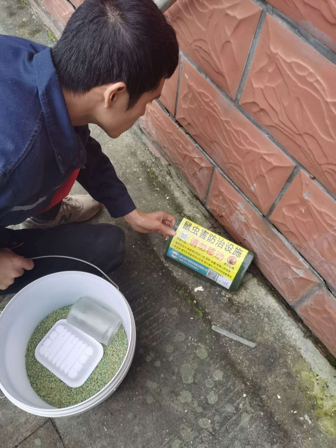 内江除四害